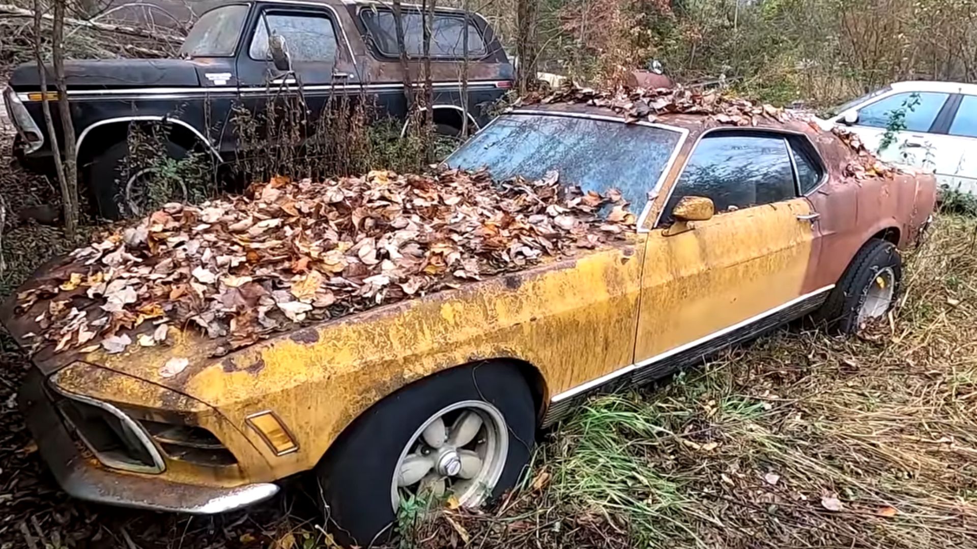 Man Gives Up On Ford Mustang Mach 1 Project Car