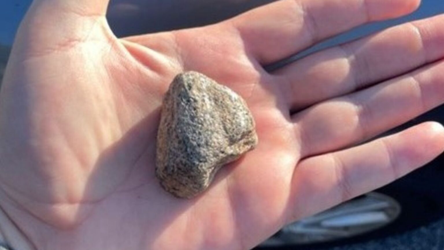 Florida Man Throws Rock Through Driver’s Window The Auto Wire