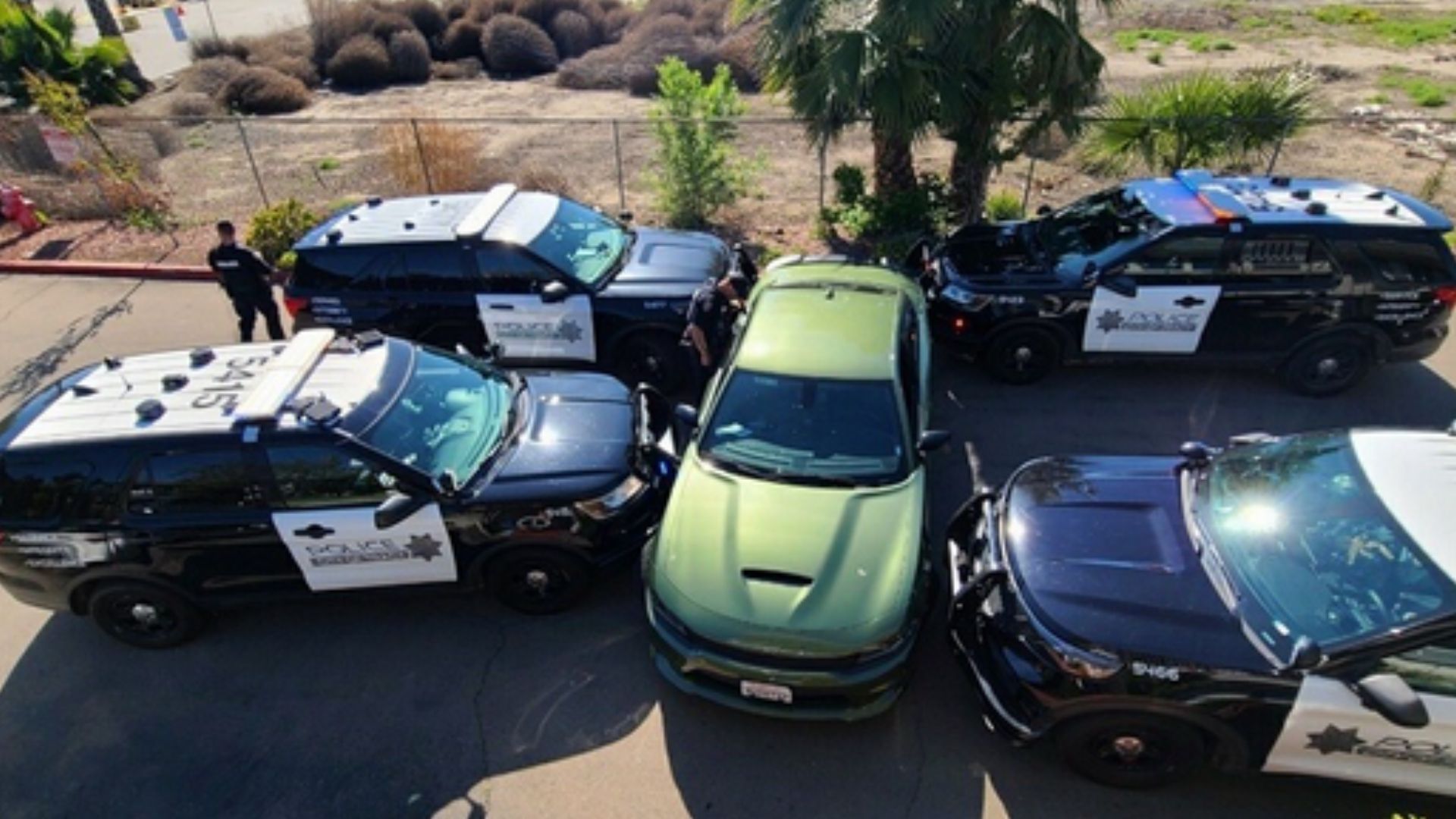 California Police Smack Down Car Thieves