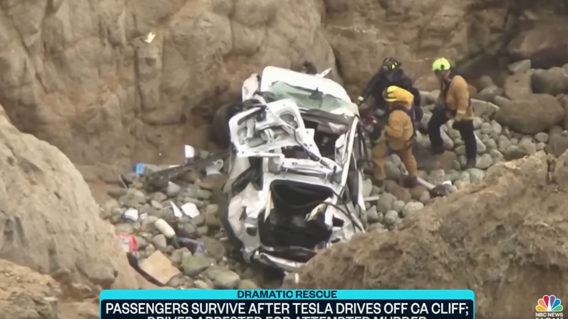 Tesla Driver Deemed Psychotic