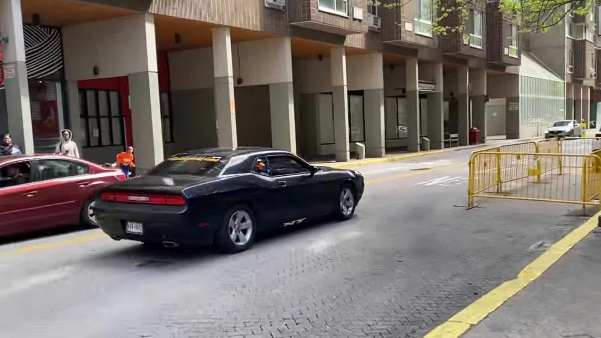 A Dodge Challenger Is Terrorizing NYC Residents Using Animal Sounds