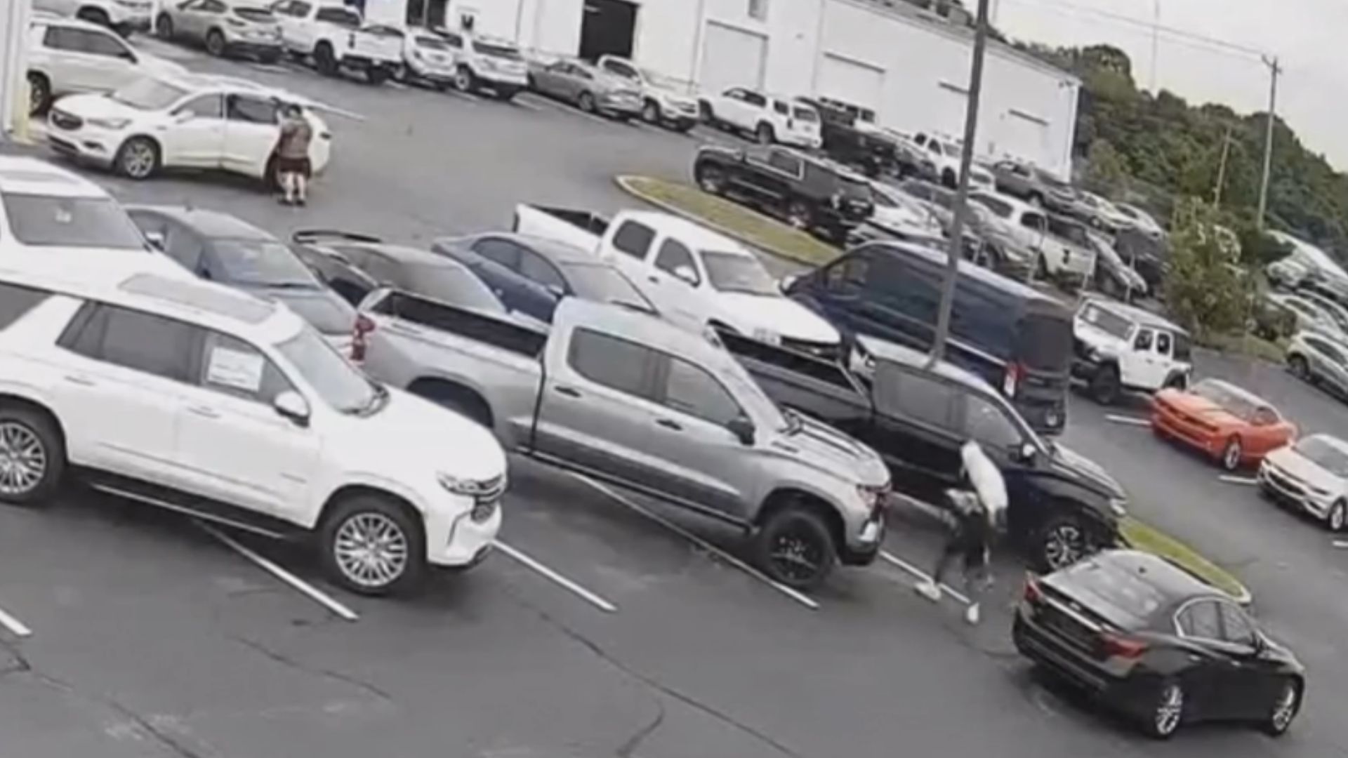 Suspects Try Stealing Dealership’s Corvette In Broad Daylight
