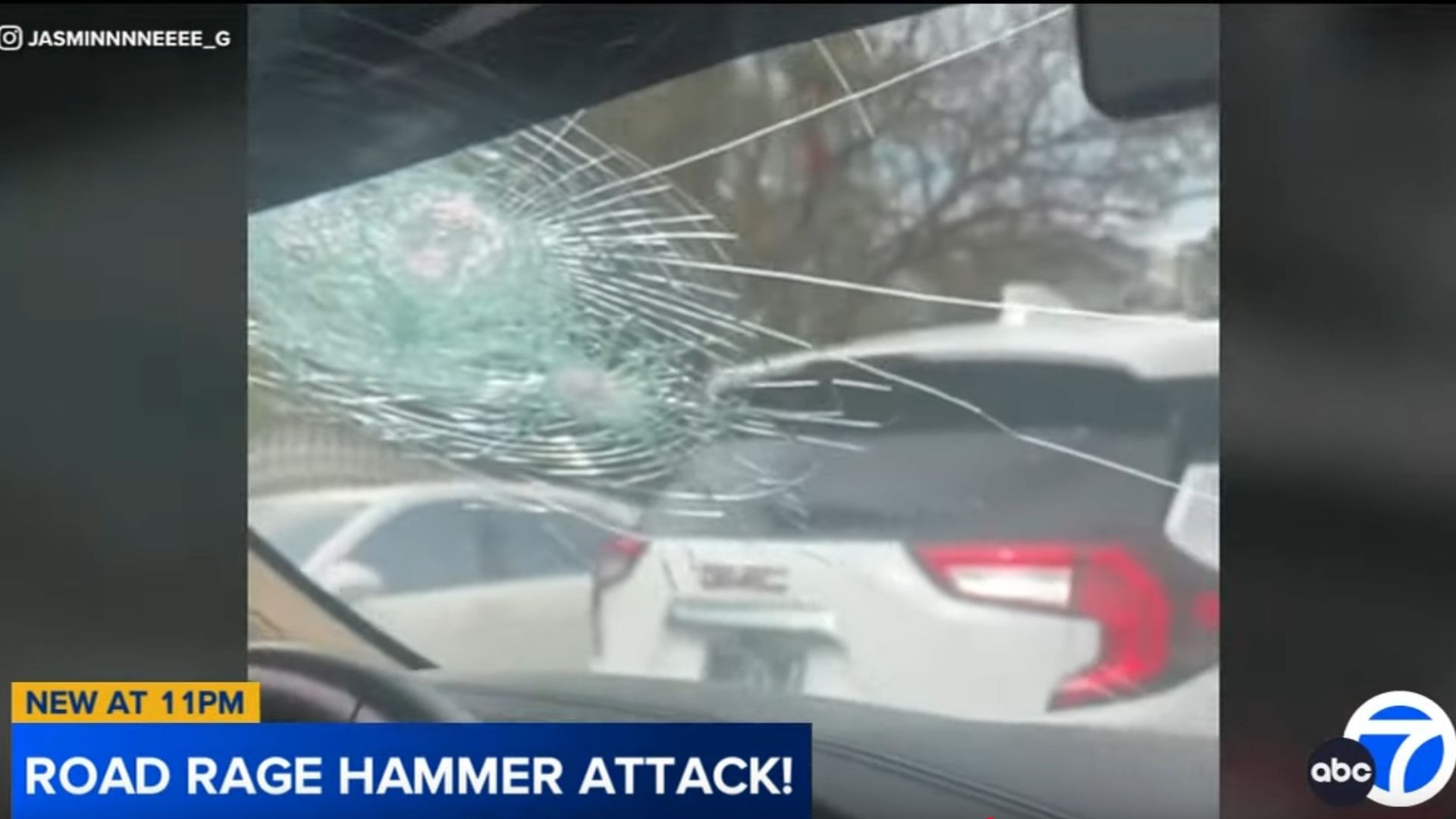 Image via ABC7/YouTube