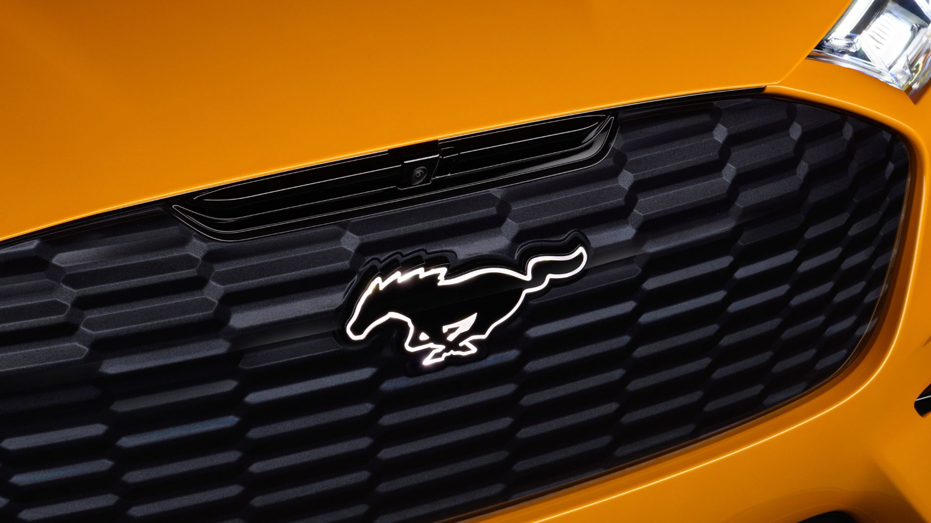 Image via Ford