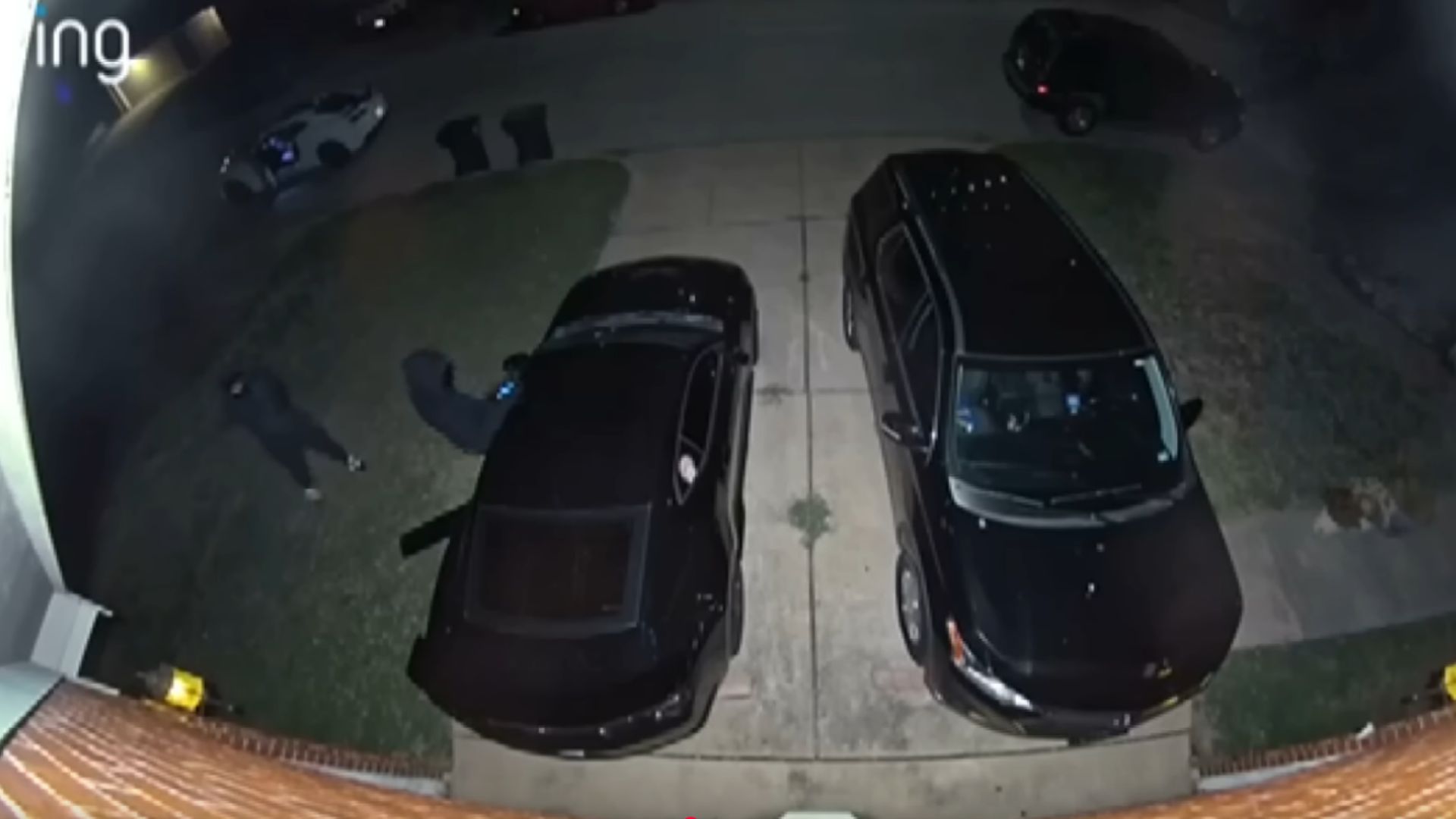 Image via WFAA/YouTube