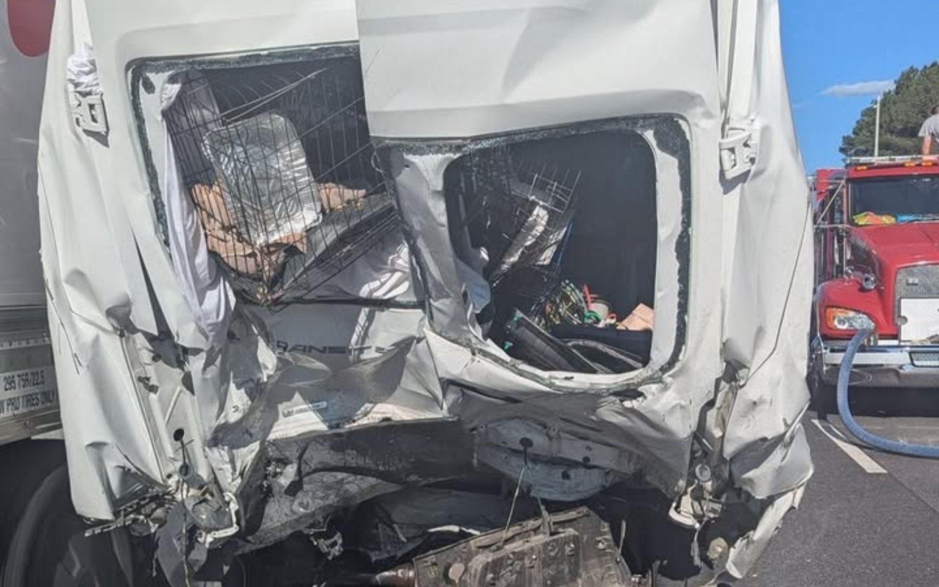 Seven Dead, Two Cats Missing After Deadly Georgia Interstate Crash Involving Animal Rescue Group FurKids