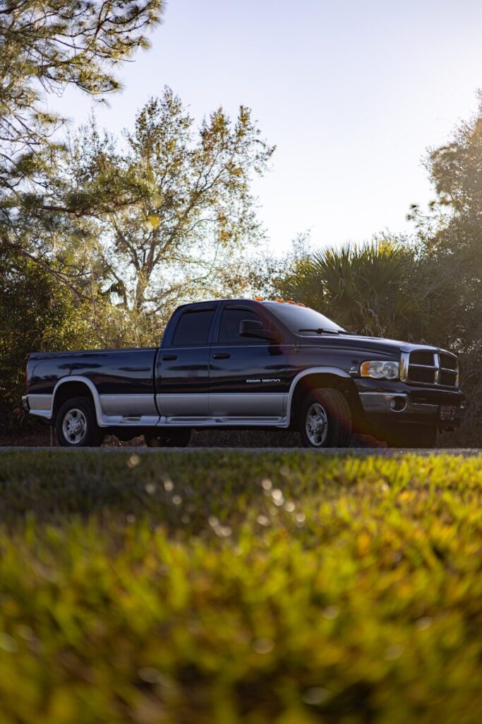 Dark pickup truck parked on a grassy roadside.