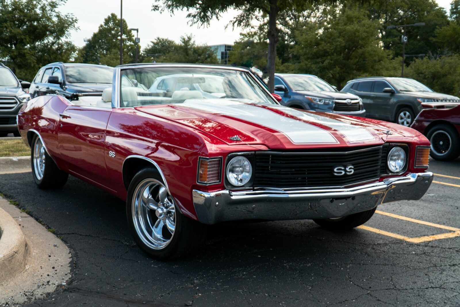 red chevrolet camaro on road during daytime