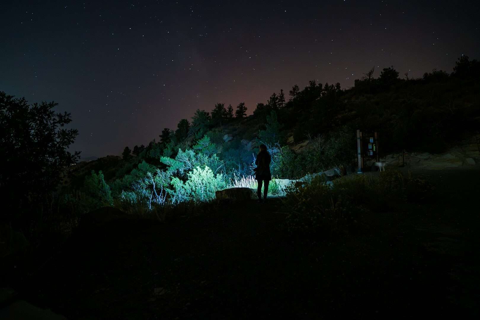 A person standing on a hill at night