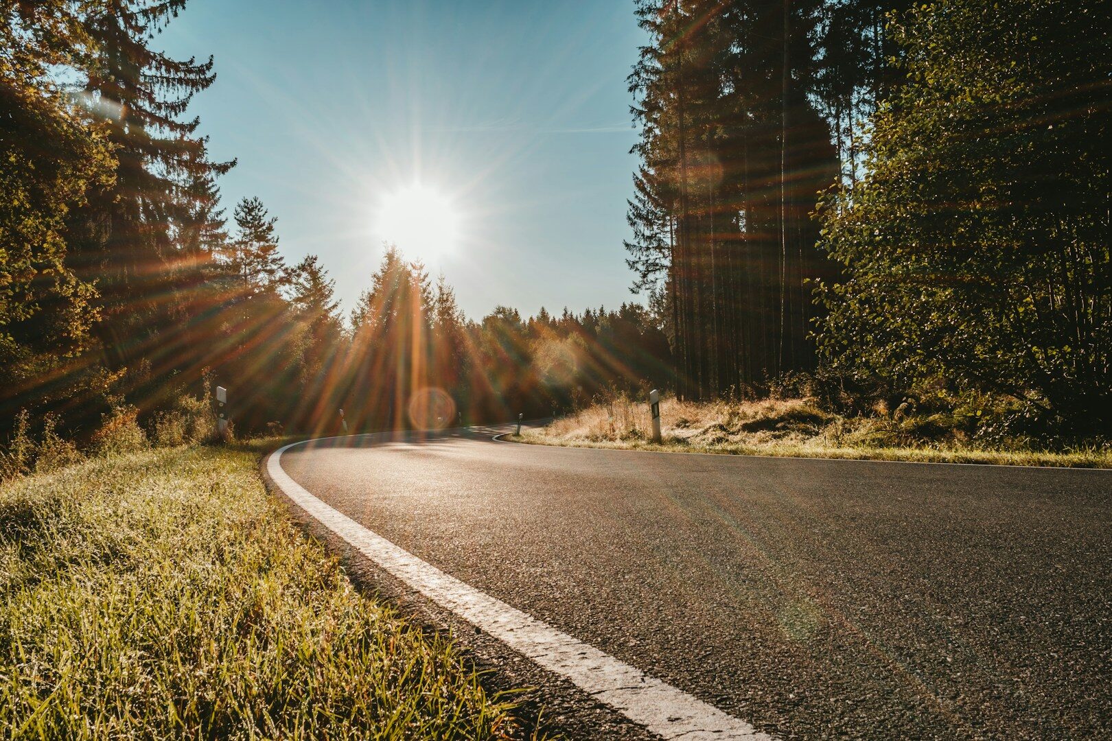 gray concrete road between green trees during daytime
