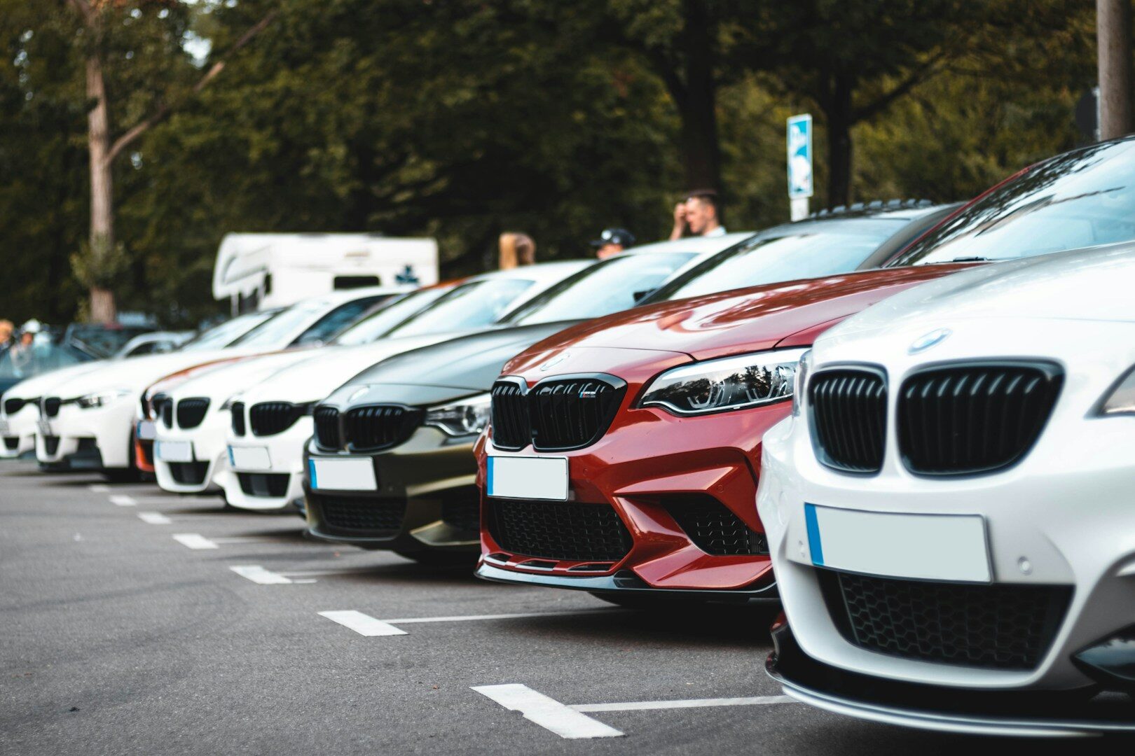 Rows of used cars on a dealership lot, reflecting rising used car prices