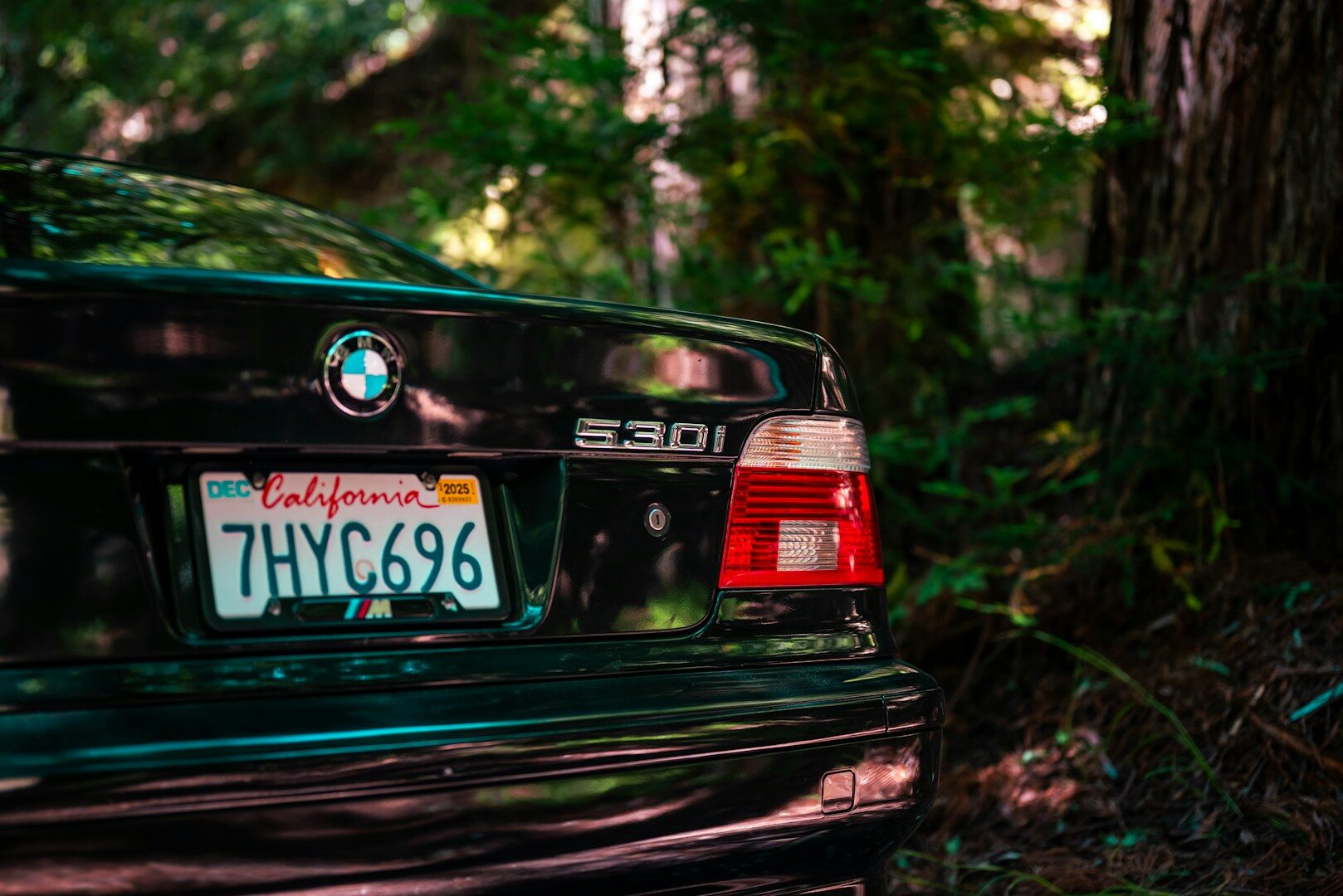 Black BMW 530i parked amidst trees