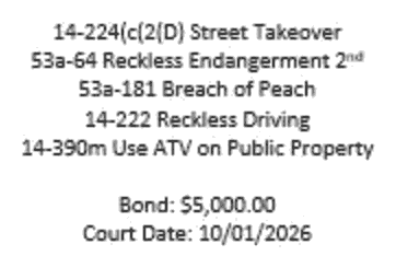 Excerpt of a Newington Police charge listing showing "Breach of Peach"