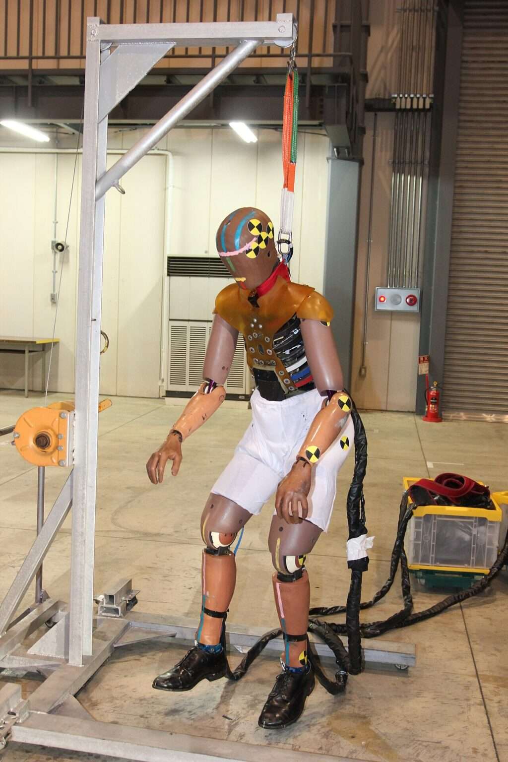 THOR-50M Crash Test Dummy: NHTSA Eyes Patented Spine | The Auto Wire