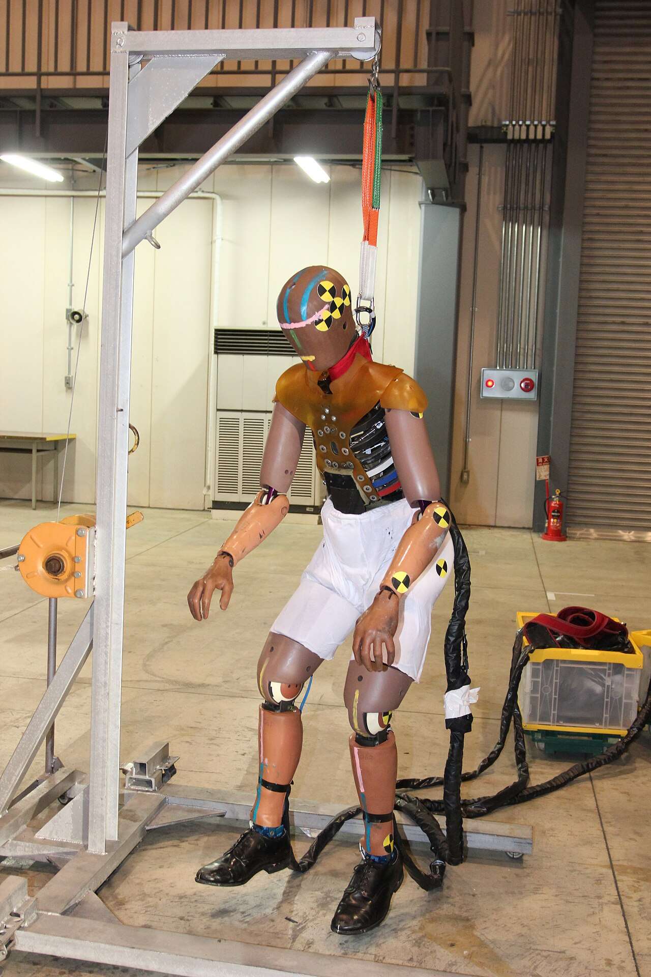 Instrumented THOR crash test dummy suspended in a lab before qualification testing
